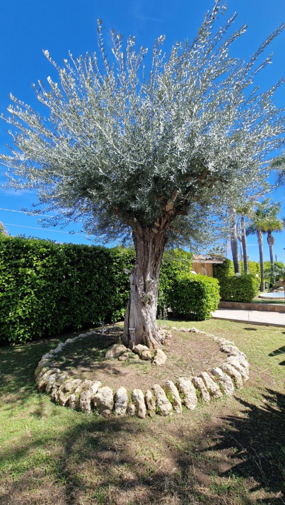 Villa Carlotta Brucoli Bagian luar foto